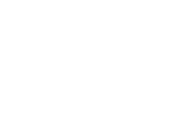 Dassault Falcon